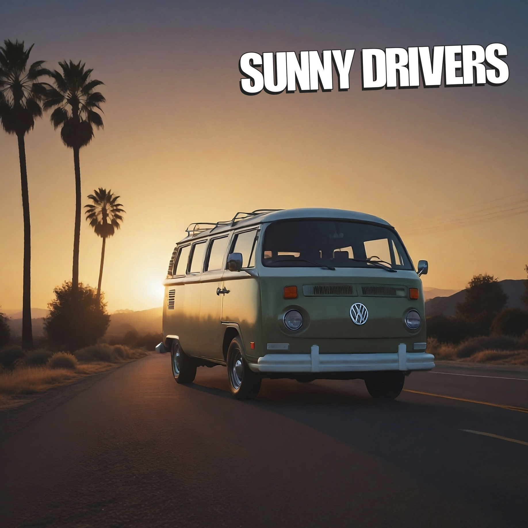 Sunny Drivers